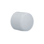 Picture of Fitting, Pvc, End Cap, 1"S 447-010