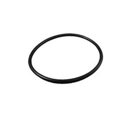 Picture of Generic Heater O-Ring 60-0001