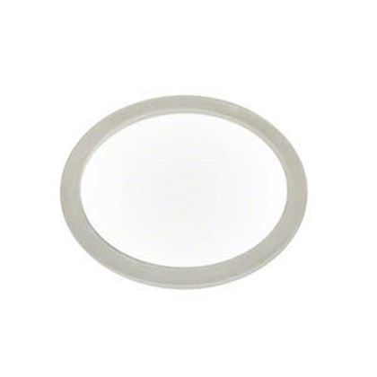 Picture of Waterway Diverter Valve Flat Gasket 711-4310