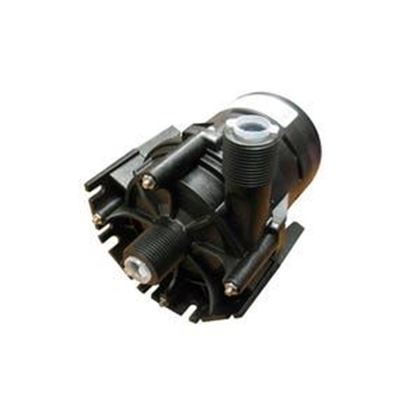 Picture of Laing E10 Spa Pump 1 Speed 230V 73999