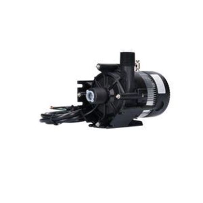 Picture of Laing E10 Spa Pump 1 Speed 115V 74009