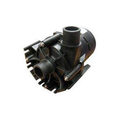 Picture of Laing E10 Spa Pump 1 Speed 230V 1" Barb 74079