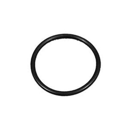 Picture of Waterway O-Ring 805-0123
