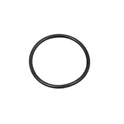 Picture of Waterway O-Ring 805-0127Sd