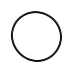 Picture of Waterway Valve Body (Cap) O-Ring 805-0143