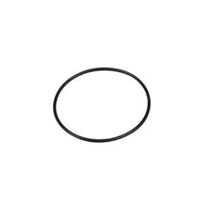 Picture of Waterway Valve O-Ring 805-0151