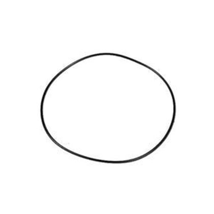 Picture of Waterway Ex2 O-Ring 805-0164