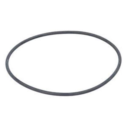 Picture of Waterway Spa-Flo O-Ring 805-0248