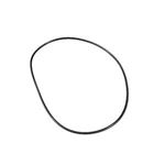 Picture of Waterway Executive O-Ring 805-0261