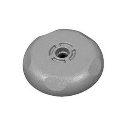 Picture of Lid, Diverter Valve, Pentair, 900066WW