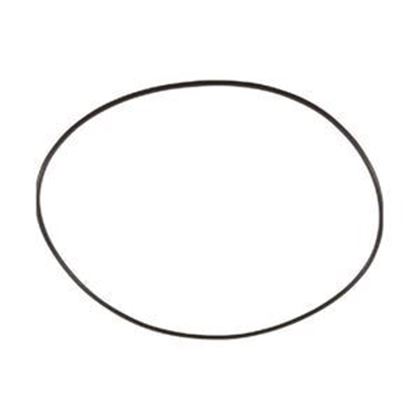 Picture of O-Ring, Pump Volute, Aqua-Flo FMXP2/FMXP2e 92200300