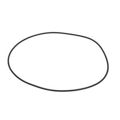 Picture of Gecko Aqua-Flo Fmxp3 O-Ring 92200310