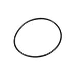 Picture of Pentair Valve O-Ring 985711