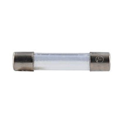 Picture of Generic Fuse Agc-1