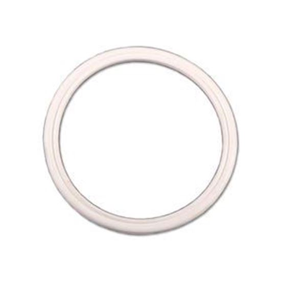 Picture of Coleman/Maax Filter Sock O-Ring Fd-51104-Ow