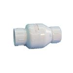Picture of Check Valve, Flo-Control 1015-25