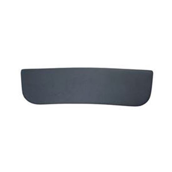 Picture of Pillow, Coleman/Maax, OEM, Lou 102557