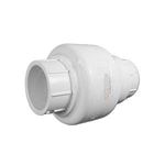 Picture of Check Valve, Coast  201-25000