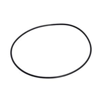 Picture of Balboa Vico Ultima O-Ring Ppufvor