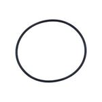 Picture of Rainbow Filter Lid O-Ring R172223