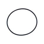 Picture of O-Ring Filter Lid RTL/RDC Series, 5-7/8" R172223