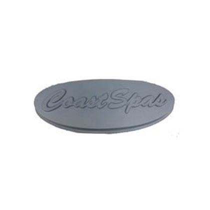 Picture of Coast Spa Pillow Insert S-01-1396