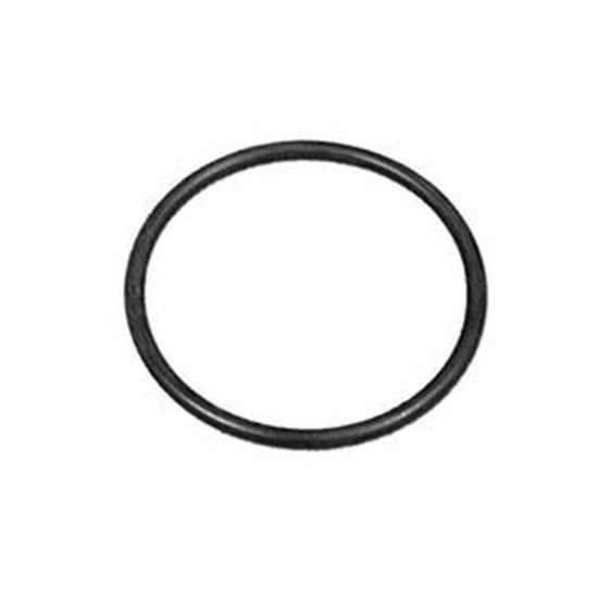 Picture of Generic O-Ring Sp-1495-Z1