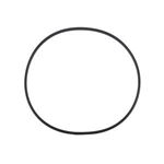 Picture of Lx Pump Volute O-Ring Vor-Lp