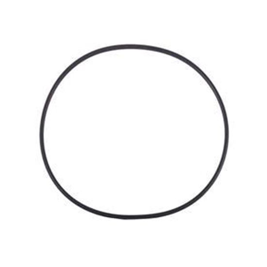 Picture of Lx Pump Volute O-Ring Vor-Lp