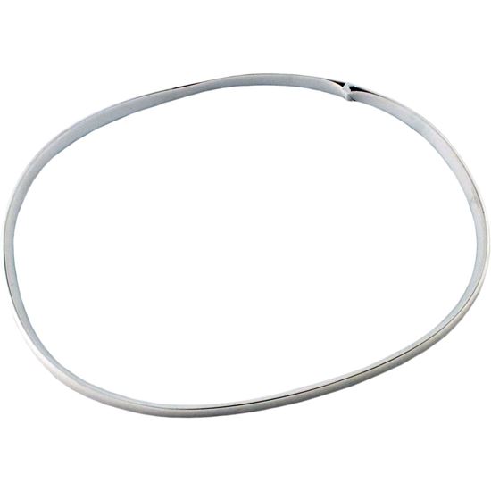 Picture of Gasket Vac-Mate Basket R36025