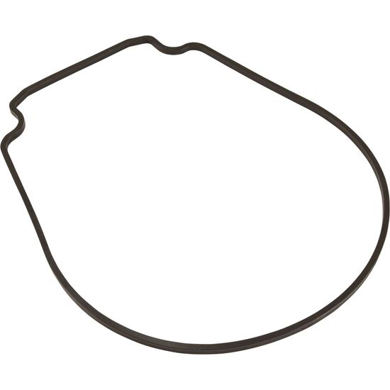 Picture of Seal Plate Gasket Special ID/OD 357100