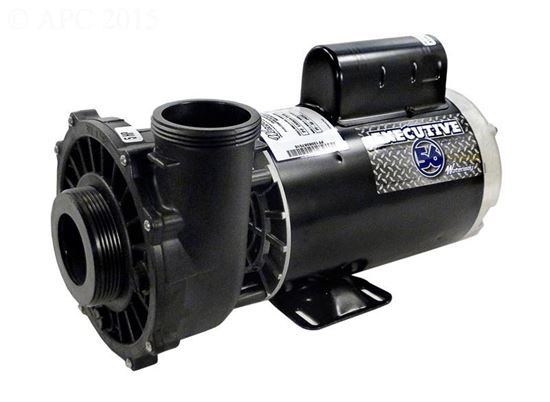 Picture of Pump Executive 56, 5.0HP, 230V 2-Speed, 2"MBT 56-Frame 37220211D