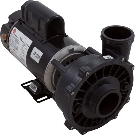 Picture of Pump Executive 48, 1.5HP, 115V, 16.4/4.4A, 2-Speed, 2"MBT 34206101A