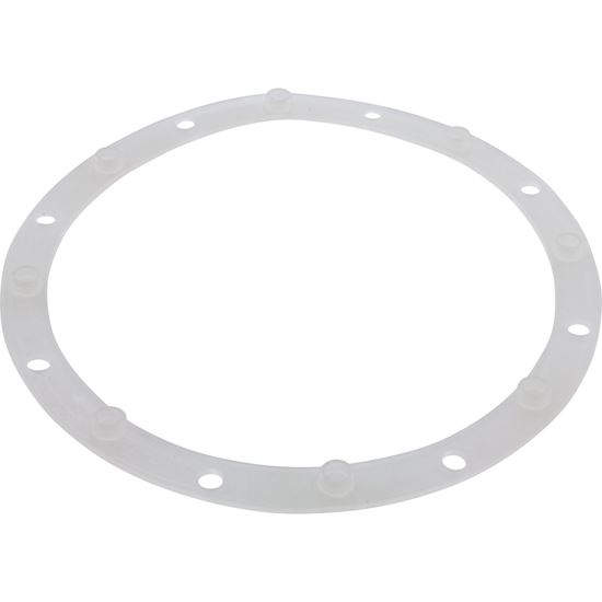 Picture of Gasket Main Drain Vinyl Sump Body 7112600