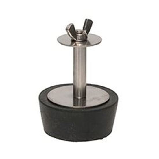Picture of Tapered Extended Plugs 50/Bag  Wp12X