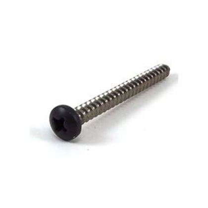 Picture of Dynasty Screw 14458