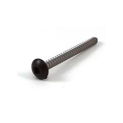 Picture of Dynasty Screw 15137