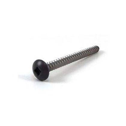 Picture of Dynasty Screw 15138