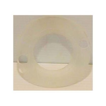 Picture of Waterway Gasket 711-5170