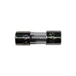 Picture of Fuse 2 Amp Slo Blo AG 229-002