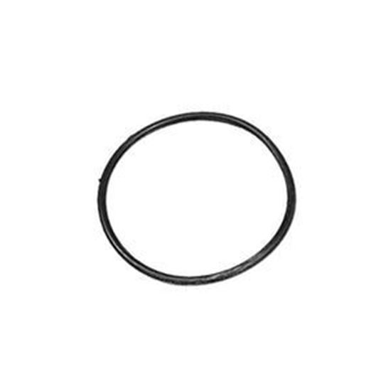 Picture of O-Rings Pump O-Ring, AquaFlo 92200250
