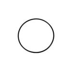 Picture of Magic Plastics Valve O-Ring 0301-154