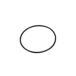 Picture of Waterway Valve O-Ring 805-0151