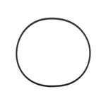 Picture of Lx Pump Volute O-Ring Vor-Lp