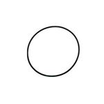 Picture of Gecko Aqua-Flo Fmcp O-Ring 92200270