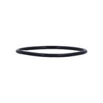 Picture of Gecko Aqua-Flo O-Ring 92200210