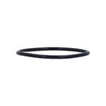 Picture of O-Ring, Pump Union, Aquaflo, 2-1/2"Id X 2-3/4"Od, 1/8" 92200210