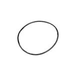 Picture of Waterway Filter Lid O-Ring 805-0360