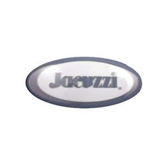 Picture of  Oval Pillow 2000-263