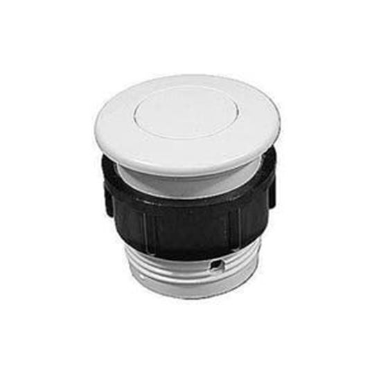 Picture of Waterway Air Button 650-3000